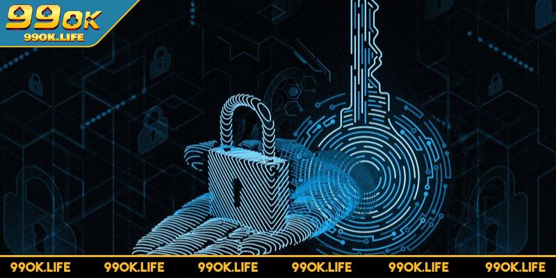 Thu thập dữ liệu người dùng